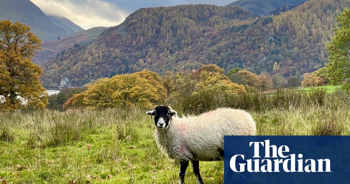 Conservationists call for Lake District to lose Unesco world heritage status | Conservation