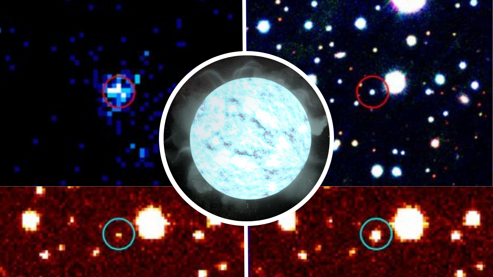 Missing link star? Why this ‘teenage vampire’ white dwarf has scientists so excited