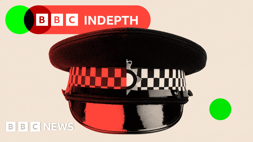 The families hiring ‘private bobbies’ to police their homes