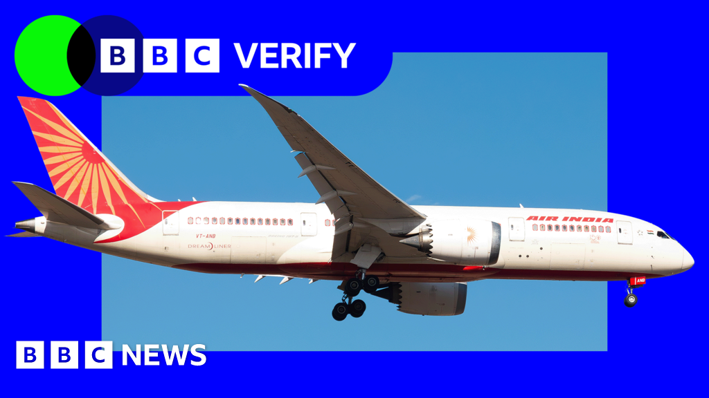 What could have caused Air India plane to crash in 30 seconds?