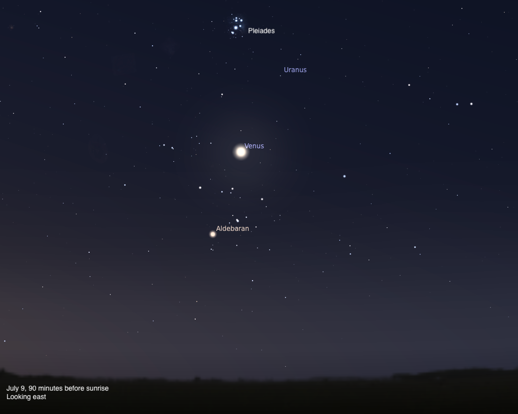 The Sky Today on Wednesday, July 9: Venus and the Pleiades