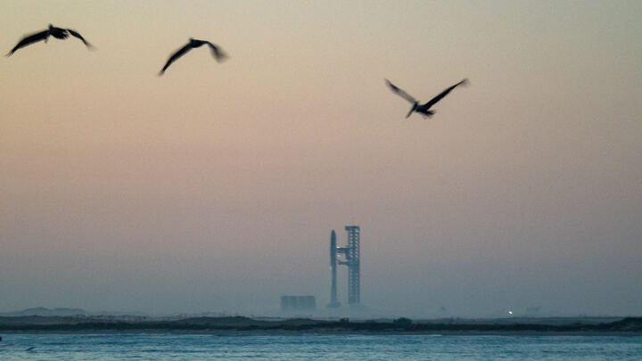 U.S. Air Force cancels plans to build Starship landing pads on island bird sanctuary