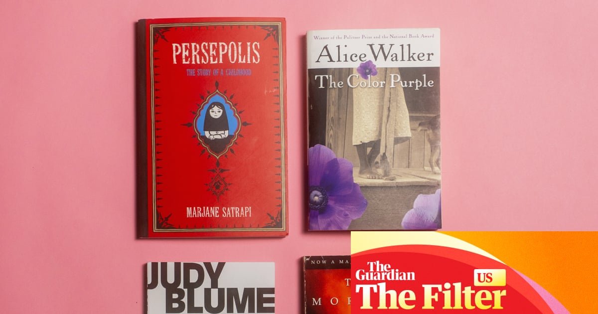A mildly subversive gift guide: 10 banned books for curious and rebellious US readers | Gift ideas from the Filter US