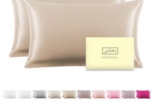 Silk Pillowcase for Hair and Skin,Soft,Breathable and Sliky 100% Standard Size Pillow Cases Set of 2,Both Sides Natural Mulberry Silk Pillowcases with Hidden Zipper(Standard Size 20″X 26″,2pcs)